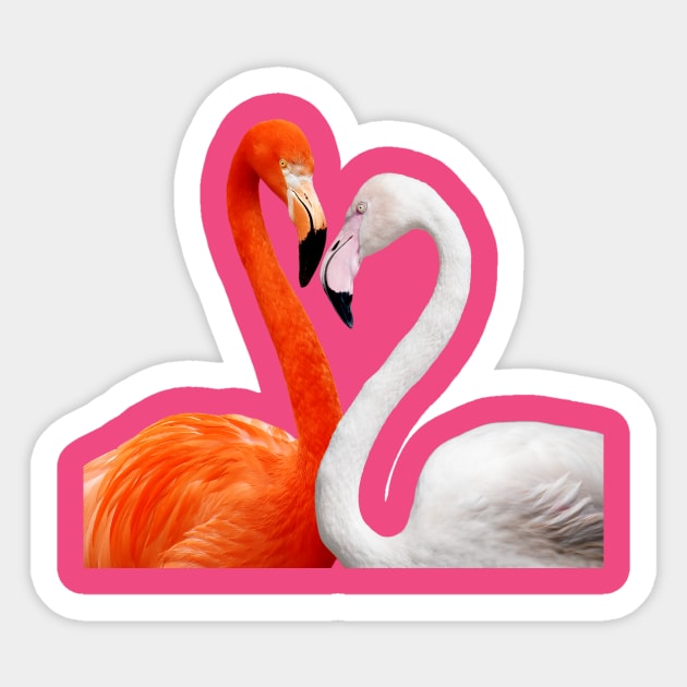 Flamingos Birds Plumage Feathers Beak Colorful Sticker by SWEIRKI